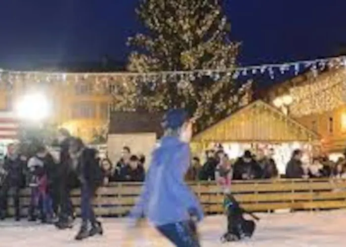 Le Point Du Jour 88460 * Docelles